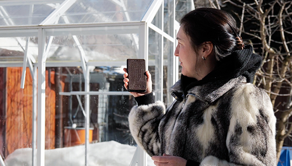 Теплица БИОНИКА зимой и летом