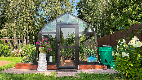 Теплица ИСТРА РИО